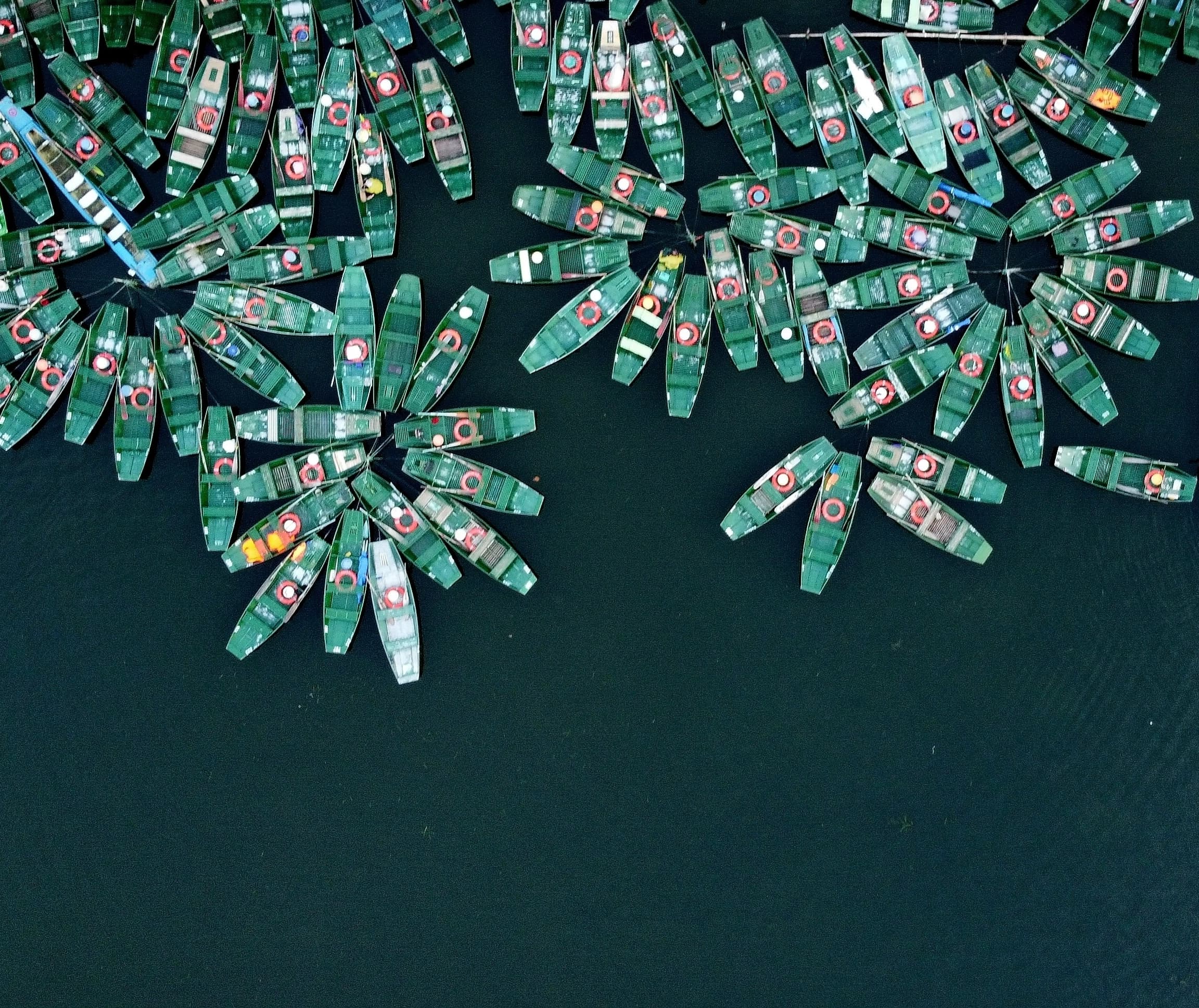Tam Coc Boats